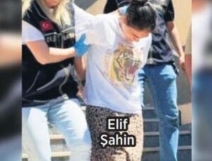 Yedi &Ccedil;ocuk Annesi, Tutuklamaktan Ka&ccedil;mak İ&ccedil;in Sekizinci Kez Hamile!