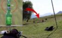 110 Metreden M&uuml;kemmel Hedef: Gazi Sniper’ın &Ouml;ğrencisinden Şaşırtan Başarı
