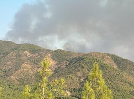 Alevlerin Pen&ccedil;esinde: Manisa ve Marmaris&rsquo;te Orman Yangınları Kontrol Altına Alınmaya &Ccedil;alışılıyor