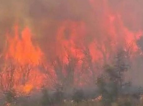 &Ccedil;anakkale’de Orman Yangını Kontrol Altına Alındı: 111 Ara&ccedil; ve 488 Personel Seferber Oldu