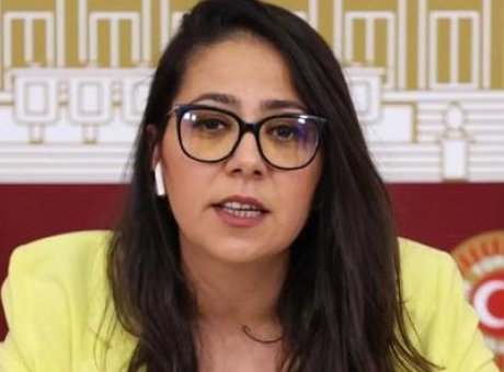 Cumhurbaşkanına Hakaret İddiası: TİP Milletvekili Sera Kadıgil Hakkında Soruşturma Başlatıldı
