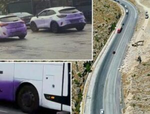 Fırtına Sonrası Şok: Ara&ccedil;ların Rengini Değiştiren Gizemli Kimyasal
