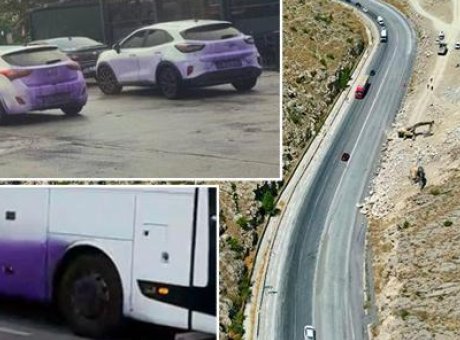 Fırtına Sonrası Şok: Ara&ccedil;ların Rengini Değiştiren Gizemli Kimyasal