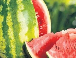 İstanbulluların Tercihi: Temmuzda 23 Bin Ton Karpuz T&uuml;ketildi!
