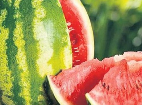 İstanbulluların Tercihi: Temmuzda 23 Bin Ton Karpuz T&uuml;ketildi!