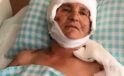 K&ouml;pek Saldırısında Şok Emsal Karar: 637 Bin Lira Tazminat Yolda!