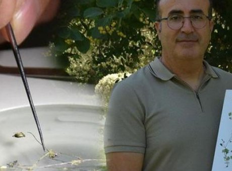 Latmos Dağları&rsquo;ndaki Gizemli Işık: Yeni T&uuml;r Tehdit Altında!