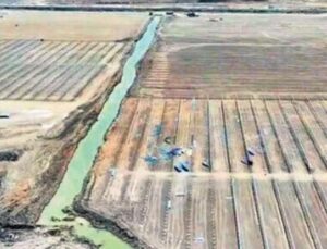 Modern Tarımda Devrim: Adana’da 100 Bin Ton &Uuml;retim Hedefi