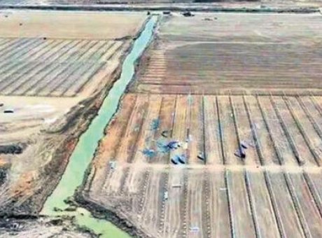 Modern Tarımda Devrim: Adana’da 100 Bin Ton &Uuml;retim Hedefi