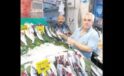 Palamut Tezgahlarda İnanılmaz Fiyatlarla Satışta: Neden Şimdi Almalısınız?