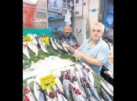 Palamut Tezgahlarda İnanılmaz Fiyatlarla Satışta: Neden Şimdi Almalısınız?
