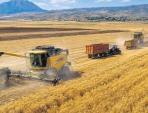 Rekor Buğday &Uuml;retimi Piyasaları Şaşırttı: Karadeniz Krizi Fiyatları Y&uuml;kseltiyor!