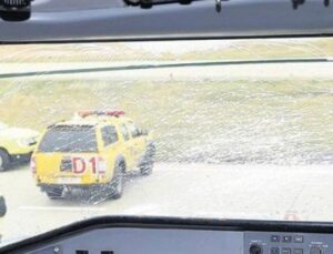 Sivil U&ccedil;uşlarda Kuş &Ccedil;arpması Alarm Veriyor: Rakamlar &Uuml;rk&uuml;t&uuml;c&uuml;!