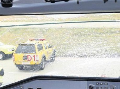 Sivil U&ccedil;uşlarda Kuş &Ccedil;arpması Alarm Veriyor: Rakamlar &Uuml;rk&uuml;t&uuml;c&uuml;!