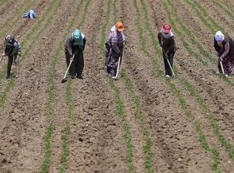 Tarımda Dijital Devrim: &Ccedil;ift&ccedil;ilerin İnternet Kullanımı Y&uuml;zde 86&rsquo;ya Ulaştı!
