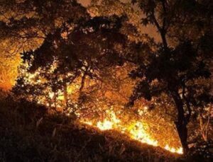 Tunceli&rsquo;deki Yangın Alarmı: Munzur Vadisi&rsquo;nde Alevler Kontrol Altına Alındı!