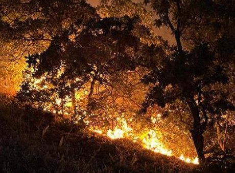 Tunceli&rsquo;deki Yangın Alarmı: Munzur Vadisi&rsquo;nde Alevler Kontrol Altına Alındı!