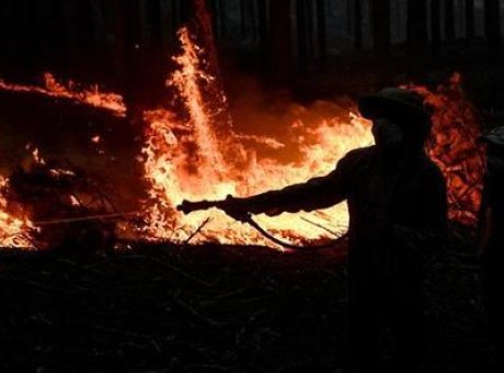 T&uuml;rkiye Orman Yangınlarında Son Durum: 218 Yangından 213’&uuml; Kontrol Altında!